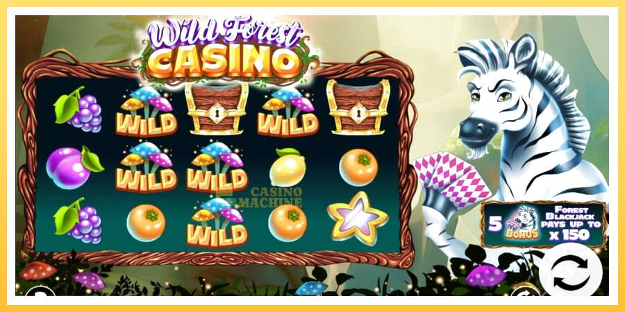 Wild Forest Casino: ပိုက်ဆံအတွက်ကစား, ပုံ 1