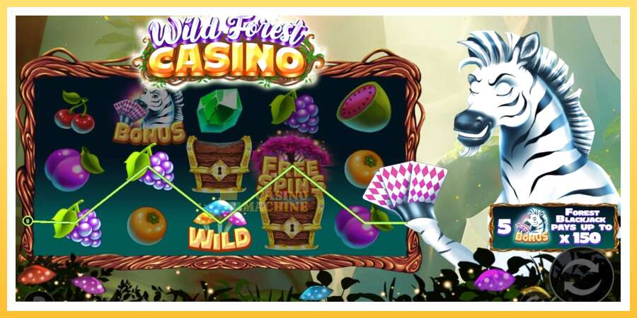 Wild Forest Casino: ပိုက်ဆံအတွက်ကစား, ပုံ 2