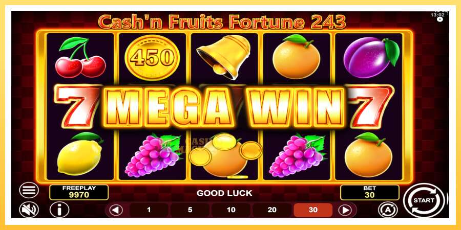 Cashn Fruits Fortune 243: ပိုက်ဆံအတွက်ကစား, ပုံ 3