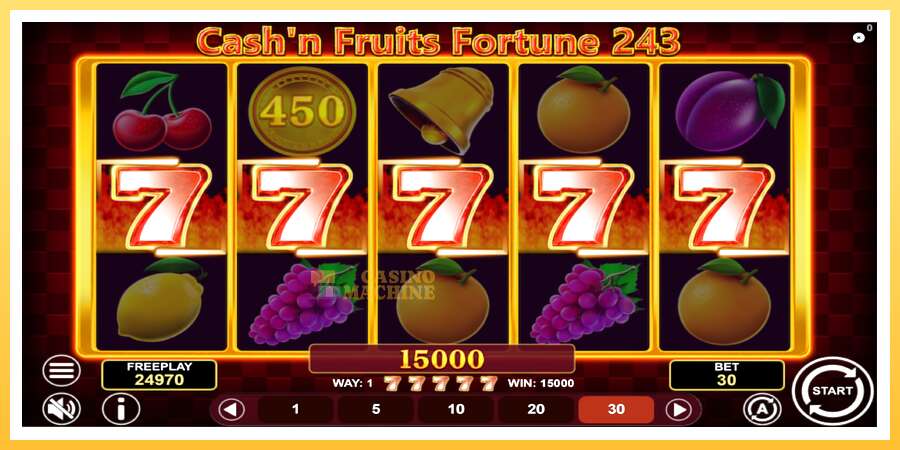 Cashn Fruits Fortune 243: ပိုက်ဆံအတွက်ကစား, ပုံ 4