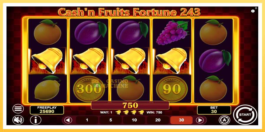 Cashn Fruits Fortune 243: ပိုက်ဆံအတွက်ကစား, ပုံ 5