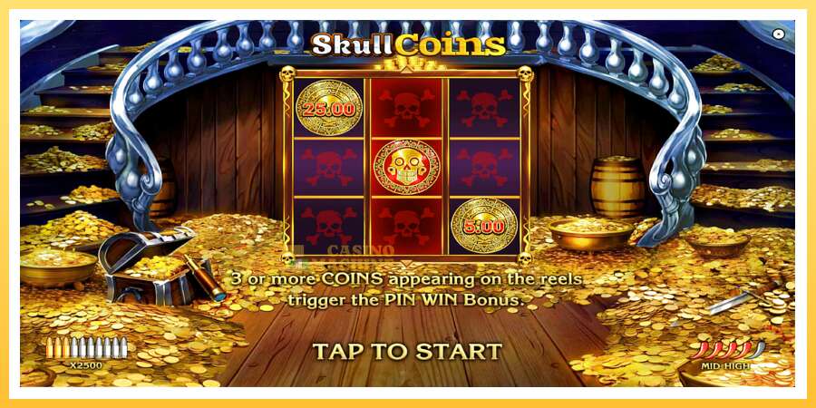 Skull Coins: ပိုက်ဆံအတွက်ကစား, ပုံ 1