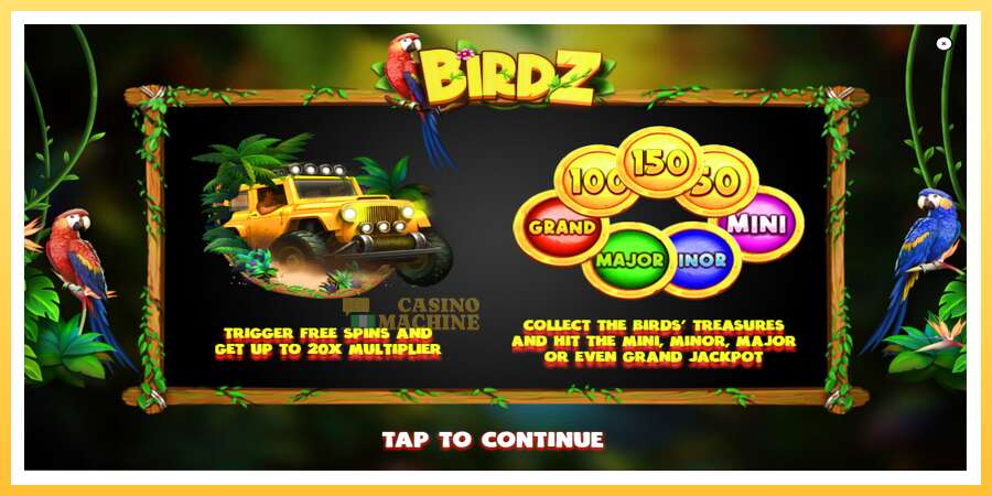 BIRDZ: ပိုက်ဆံအတွက်ကစား, ပုံ 1