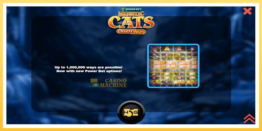 Majestic Cats DeluxeWays: ပိုက်ဆံအတွက်ကစား, ပုံ 1