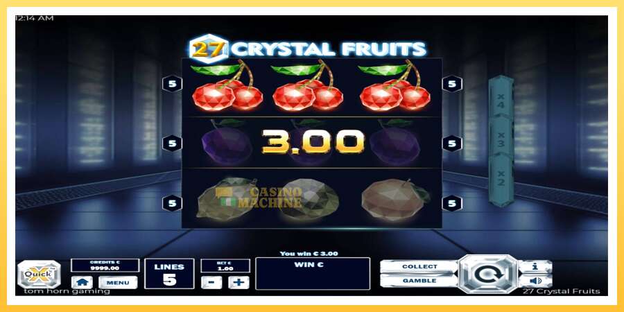 27 Crystal Fruits: ပိုက်ဆံအတွက်ကစား, ပုံ 3