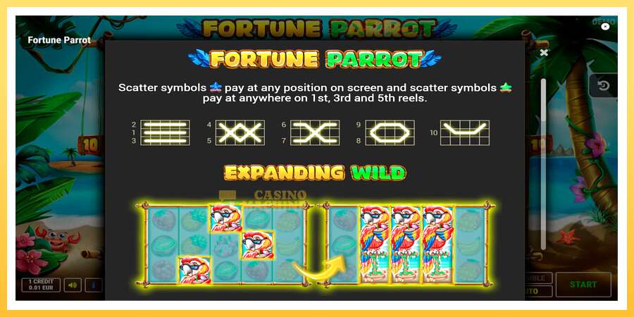 Fortune Parrot: ပိုက်ဆံအတွက်ကစား, ပုံ 7