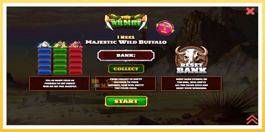 1 Reel Majestic Wild Buffalo: ပိုက်ဆံအတွက်ကစား, ပုံ 1