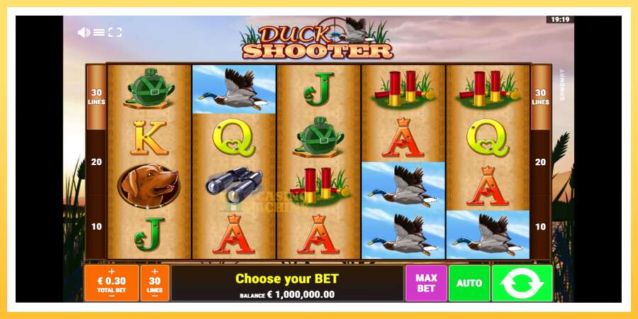 Duck Shooter: ပိုက်ဆံအတွက်ကစား, ပုံ 1