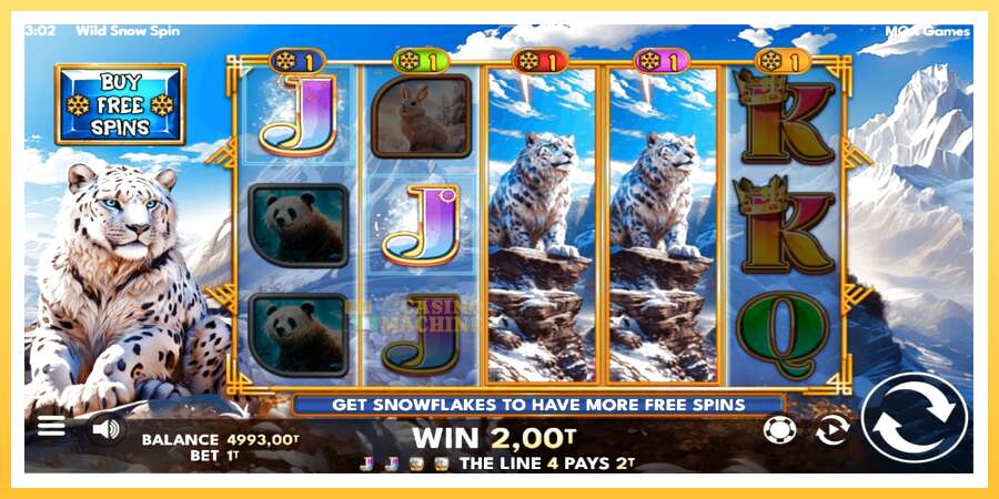 Wild Snow Spin: ပိုက်ဆံအတွက်ကစား, ပုံ 3