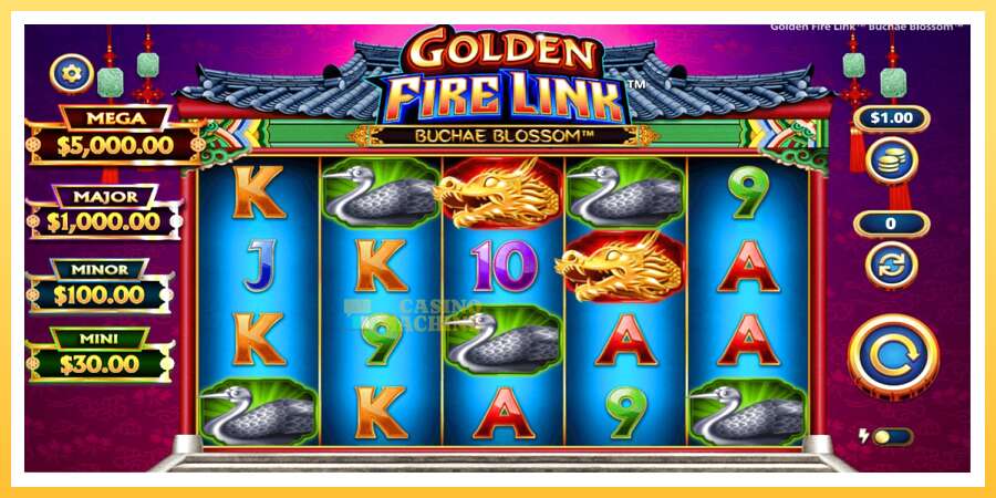 Golden Fire Link Buchae Blossom: ပိုက်ဆံအတွက်ကစား, ပုံ 1