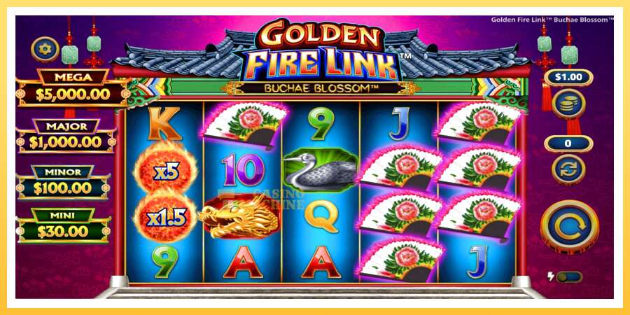 Golden Fire Link Buchae Blossom: ပိုက်ဆံအတွက်ကစား, ပုံ 2