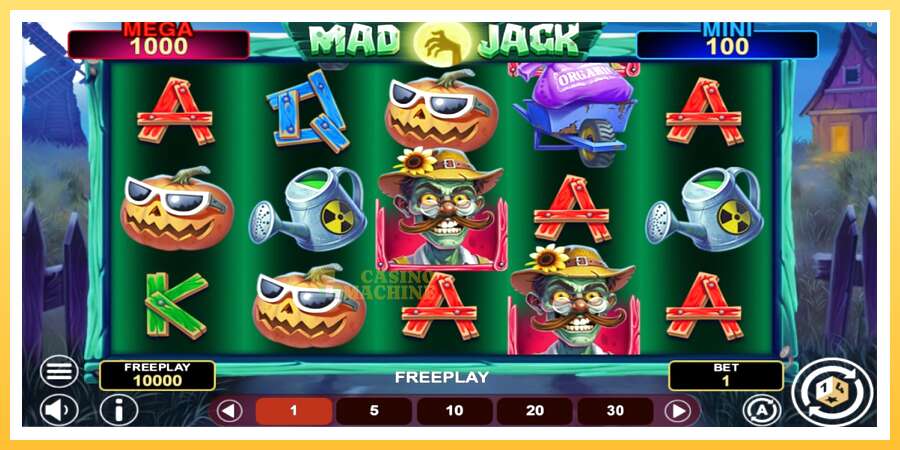 Mad Jack Hold & Win: ပိုက်ဆံအတွက်ကစား, ပုံ 1