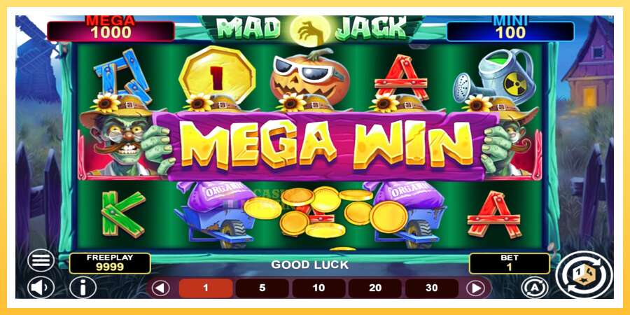 Mad Jack Hold & Win: ပိုက်ဆံအတွက်ကစား, ပုံ 2