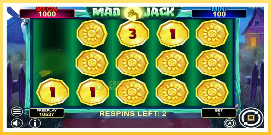 Mad Jack Hold & Win: ပိုက်ဆံအတွက်ကစား, ပုံ 3