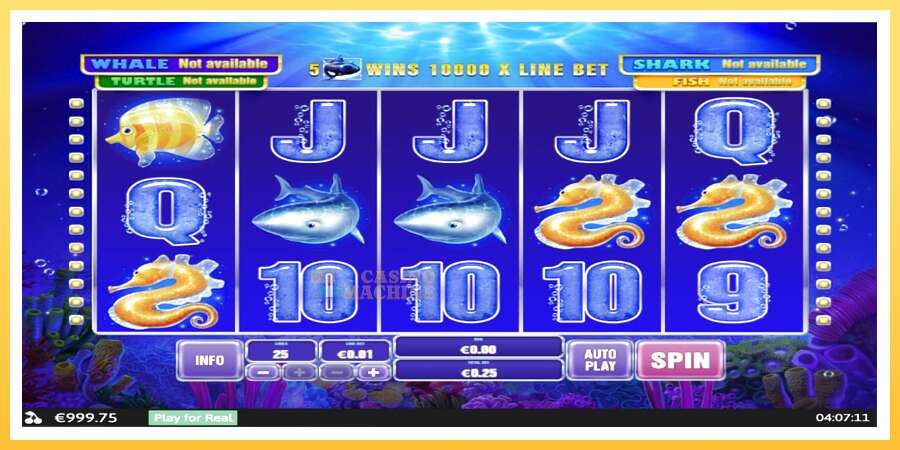 Great Blue Jackpot: ပိုက်ဆံအတွက်ကစား, ပုံ 2